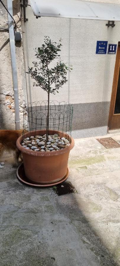 Apartment Nana 1 Šibenik Kültér fotó